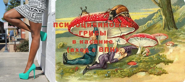 прущий лед Переславль-Залесский