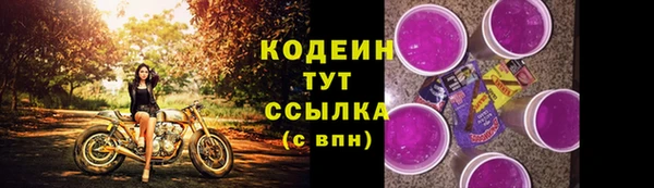 прущий лед Пестово